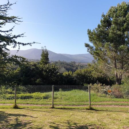 Elephant Country Guest House The Crags Buitenkant foto