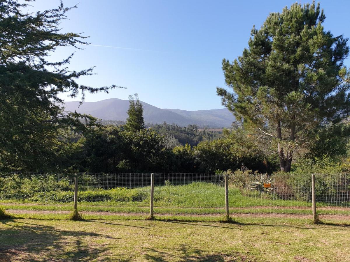 Elephant Country Guest House The Crags Buitenkant foto